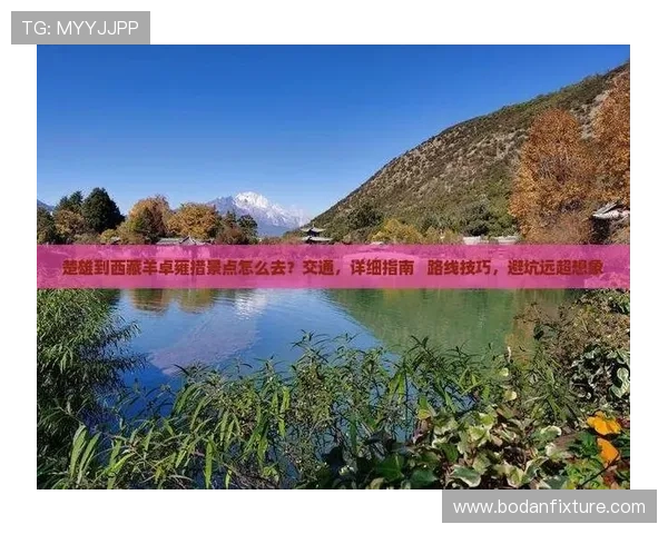 周末玩球推荐避坑指南彩票数字高频防骗秘诀